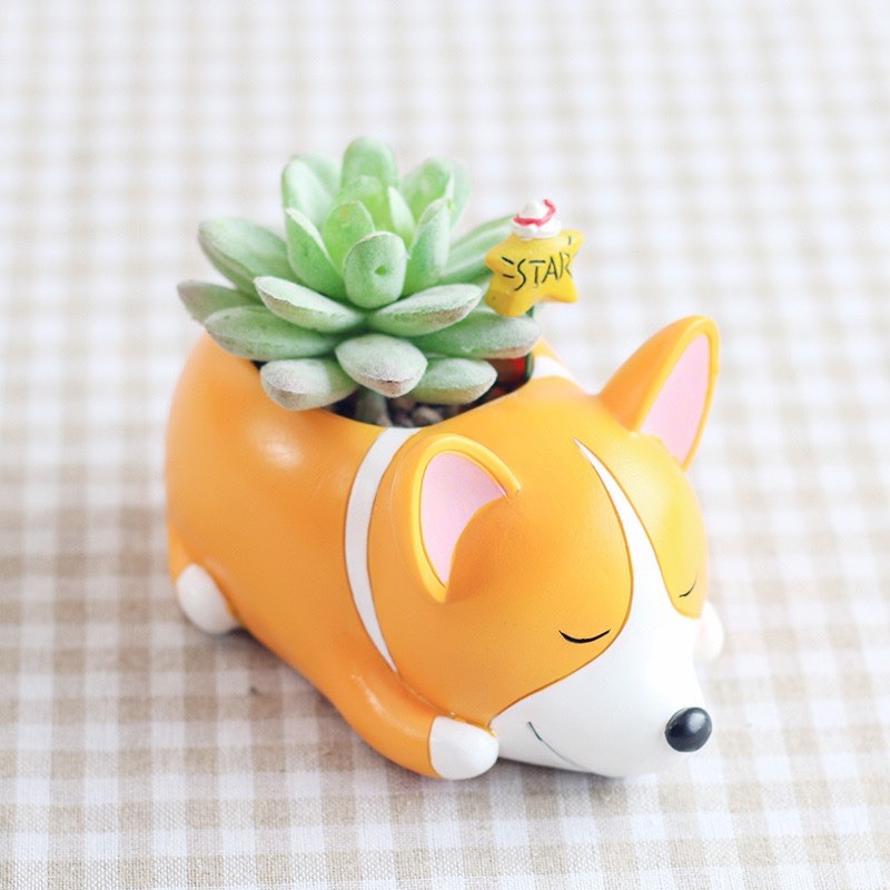 Chậu composite mini Corgi dễ thương trồng sen đá/xương rồng