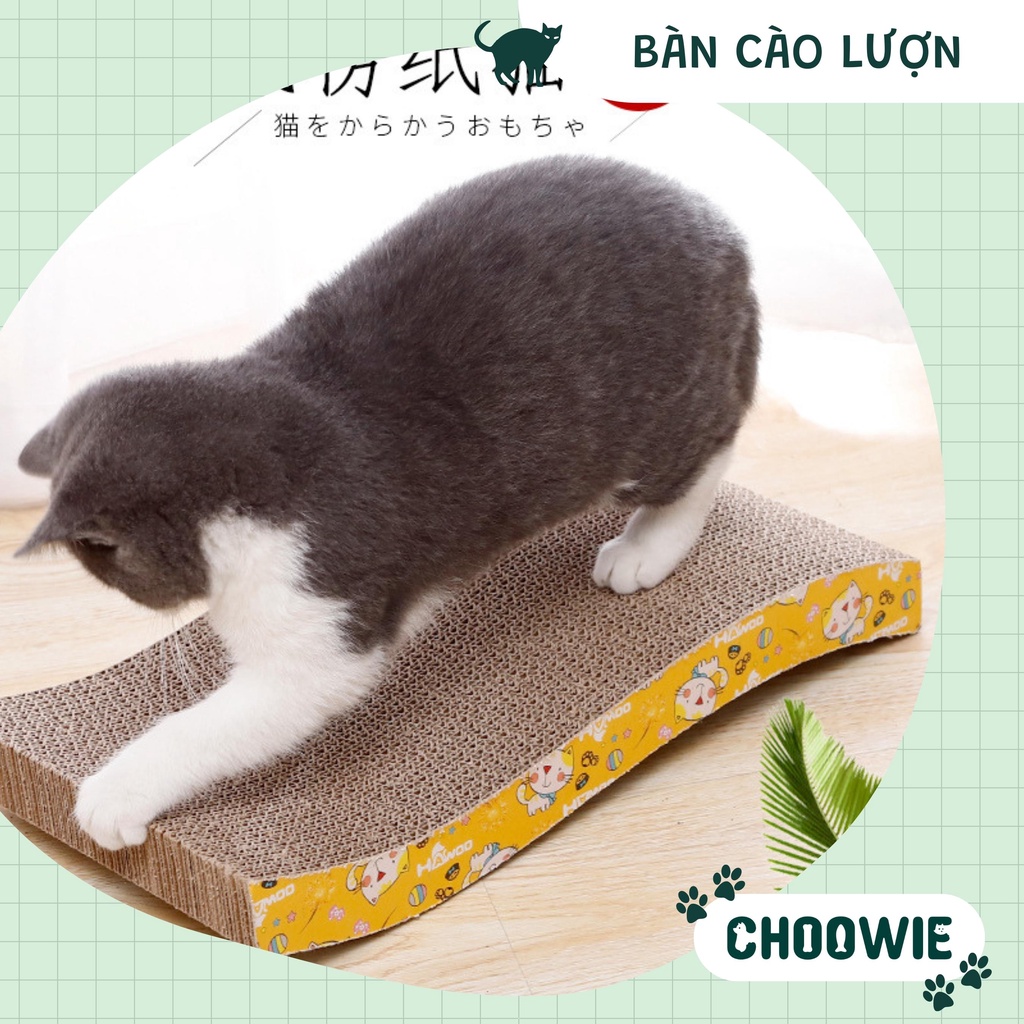 Bàn cào lượn sóng giúp mèo thư giãn Kích thước 44*25 cm Choowie Pet Shop