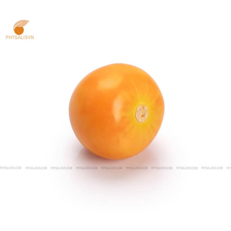 Trái Tầm Bóp-Thù Lù Nam Mỹ  1000g