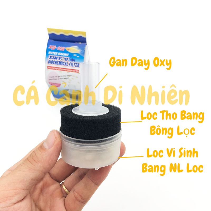 Lọc sủi vi sinh Mini 2 tầng Xy-168 cho hồ cá cảnh xy168