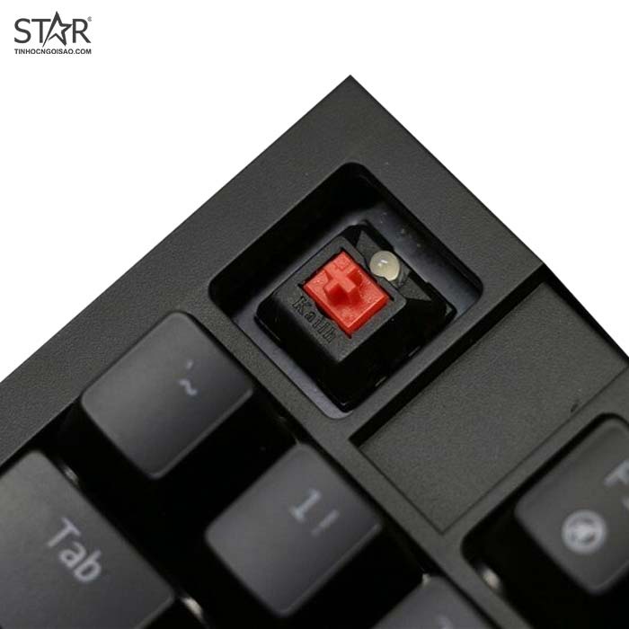 Bàn Phím Cơ Asus M801 Led Gaming Kailh Red Switch TKL (Đen)