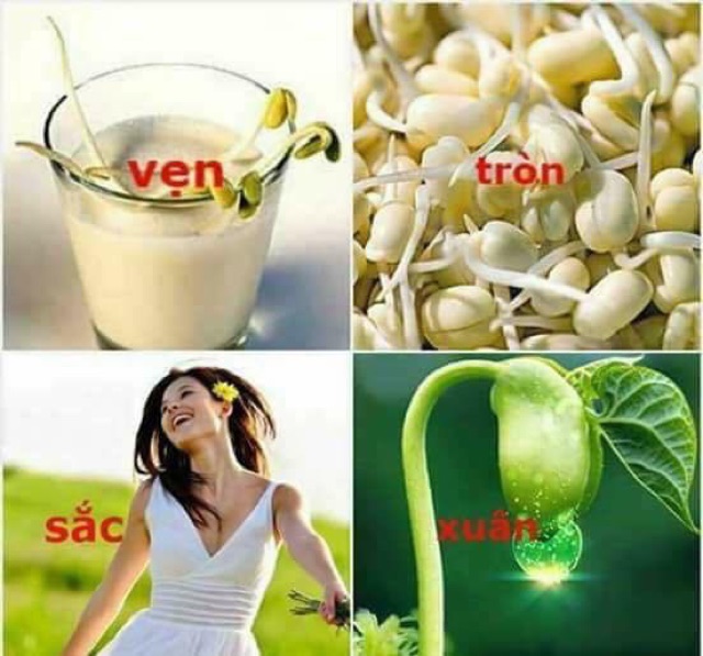 0,5kg mầm đậu nành nguyên sơ nhà làm thơm ngon, bổ dưỡng