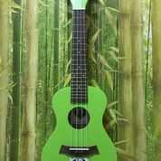 ĐÀN UKULELE CONCERT CHẤT LƯỢNG CAO CẤP NHIỀU MÀU SẮC - HÀNG CÓ SẴN