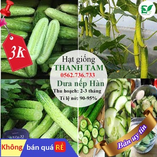 - 5 hạt giống Dưa chuột nếp