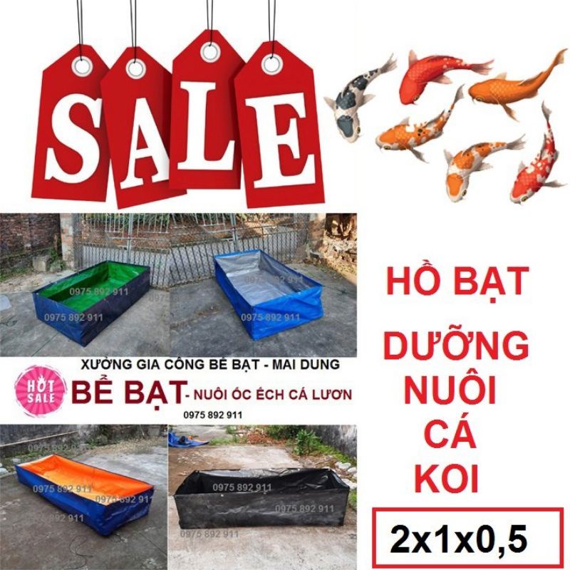 Hồ ươm dưỡng cá kiểng - cá koi ( bằng bể bạt )