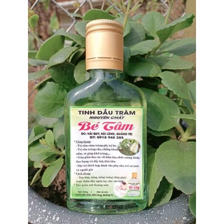 Tinh dầu tràm