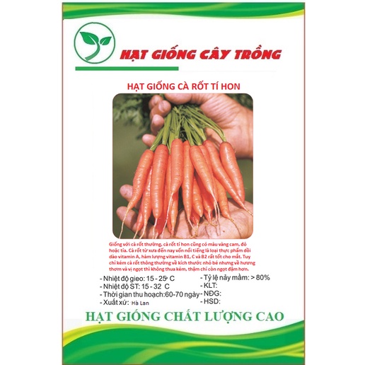 Hạt giống cà rốt ti hon ( cà rốt mini ) CT171 - Gói 0.1gram