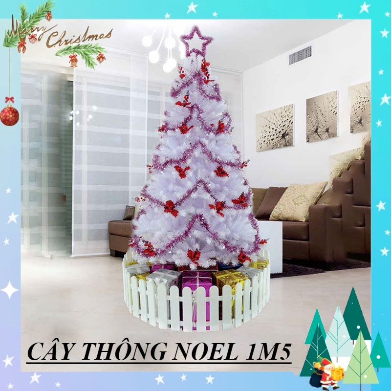 Cây thông noel 1m5 màu trắng gắn trái đỏ 2 in - cây thông noel đầu tròn đẹp trang trí giáng sinh trong nhà ngoài trời