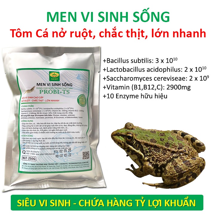 Men vi sinh sống vỗ béo Tôm Cá. Nở ruột, chắc thịt, lớn nhanh. Chứa hàng tỷ lợi khuẩn. Ngăn ngừa các bệnh về đường ruột