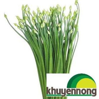 5 gram hạt giống rau hẹ bông