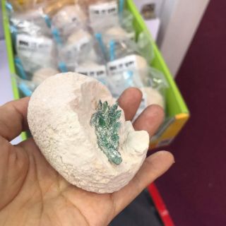 TRỨNG KHỦNG LONG HÓA THẠCH