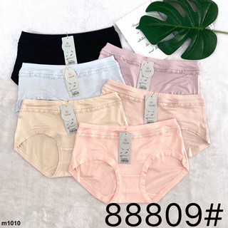 Quần cotton cạp cao che khuyết điểm vòng 2