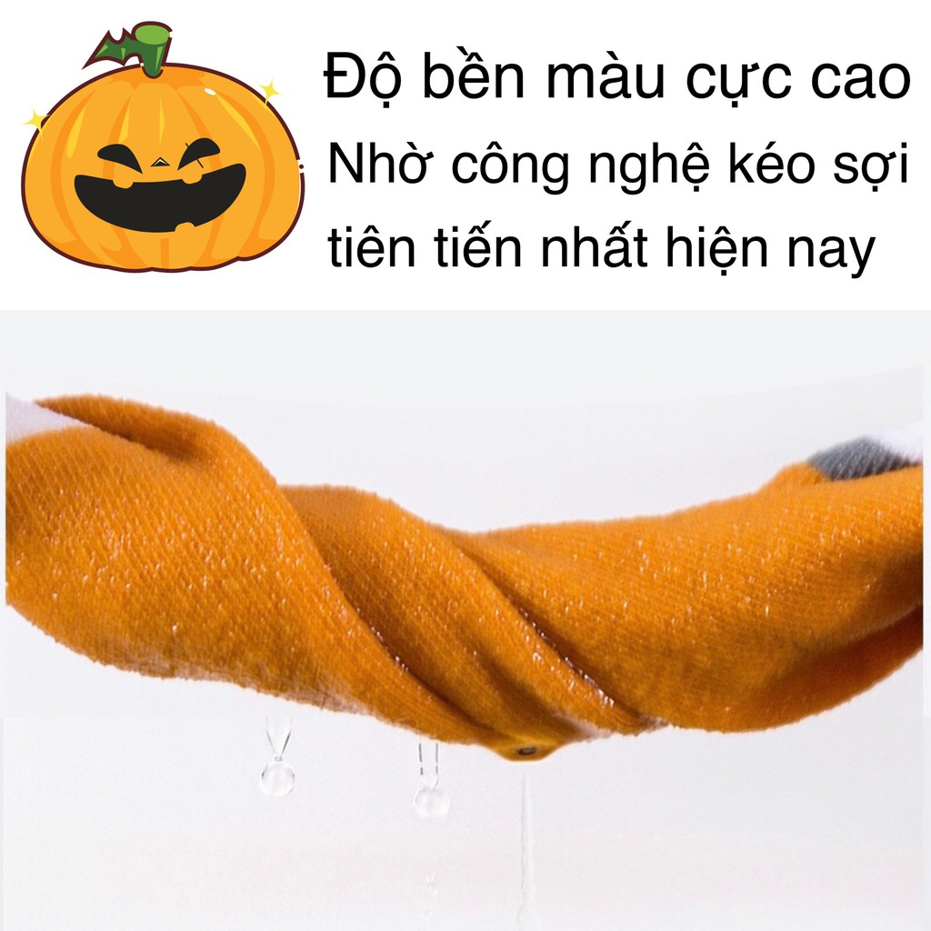 Combo 5 Đôi Tất Cao cấp Dệt kim Bốn mùa Cổ thấp Co giãn Freesize Khử mùi hôi hiệu quả