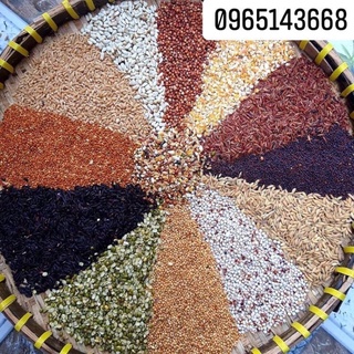 Ngũ cốc 13 loại hạt giúp cu gáy căng lửa 1kg