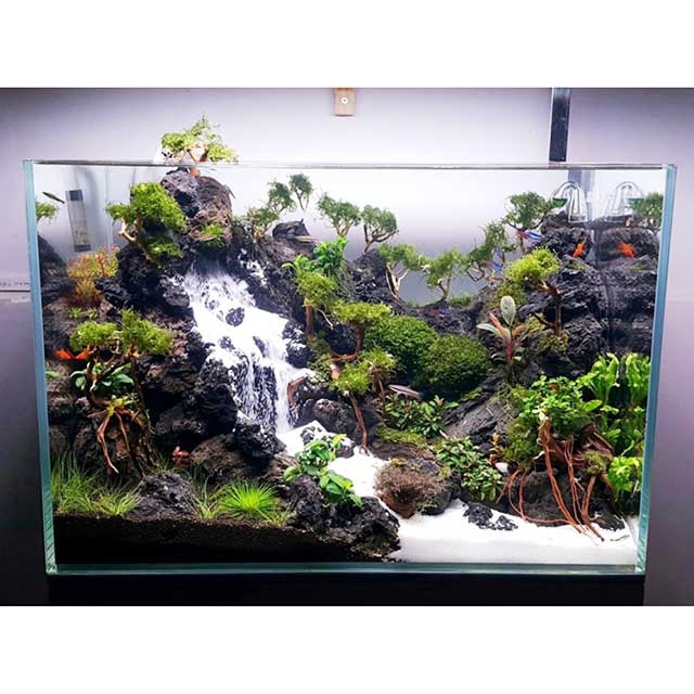 5kgCát Trắng Thạch Anh - Cát Trắng Sạch - Trang Trí cây cảnh  Bonsai - Phụ Kiện Hồ Cá - Thủy sinh - Cát lư hương