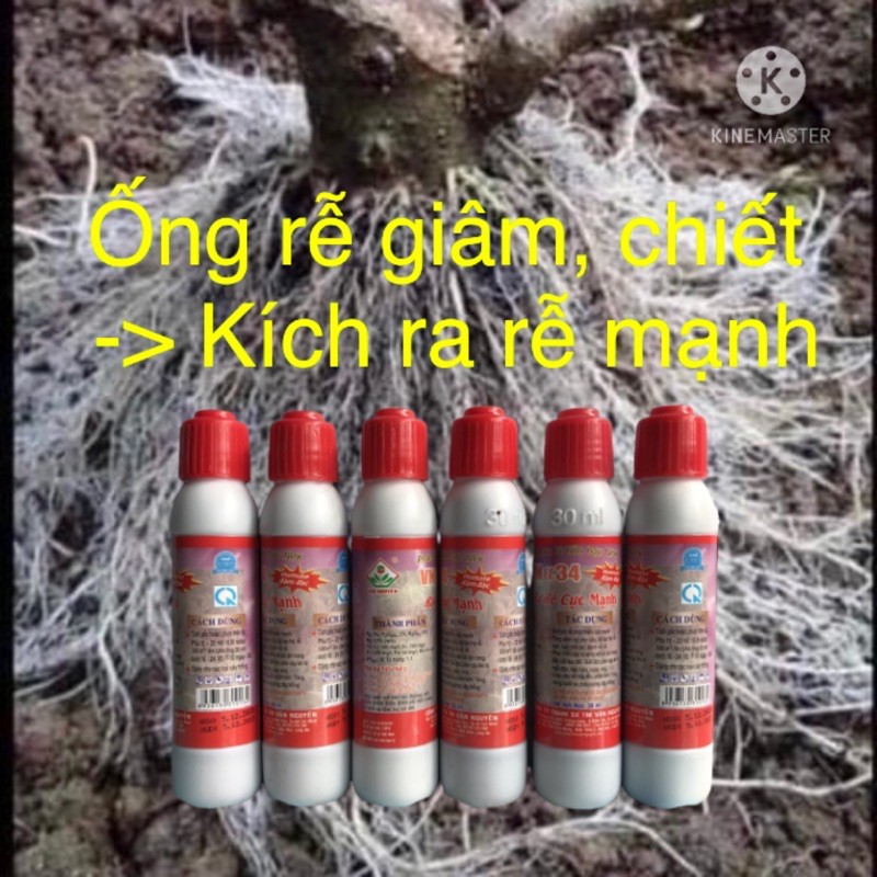 Phân Kích Rễ Giâm Chiết Cây SEAMIX Dạng Ống 30ml Chuyên Dùng Cho Hoa Hồng, Lan, Cây Cảnh