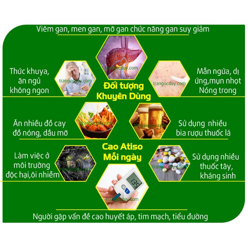 Cao atiso Ngọc Duy Đà Lạt