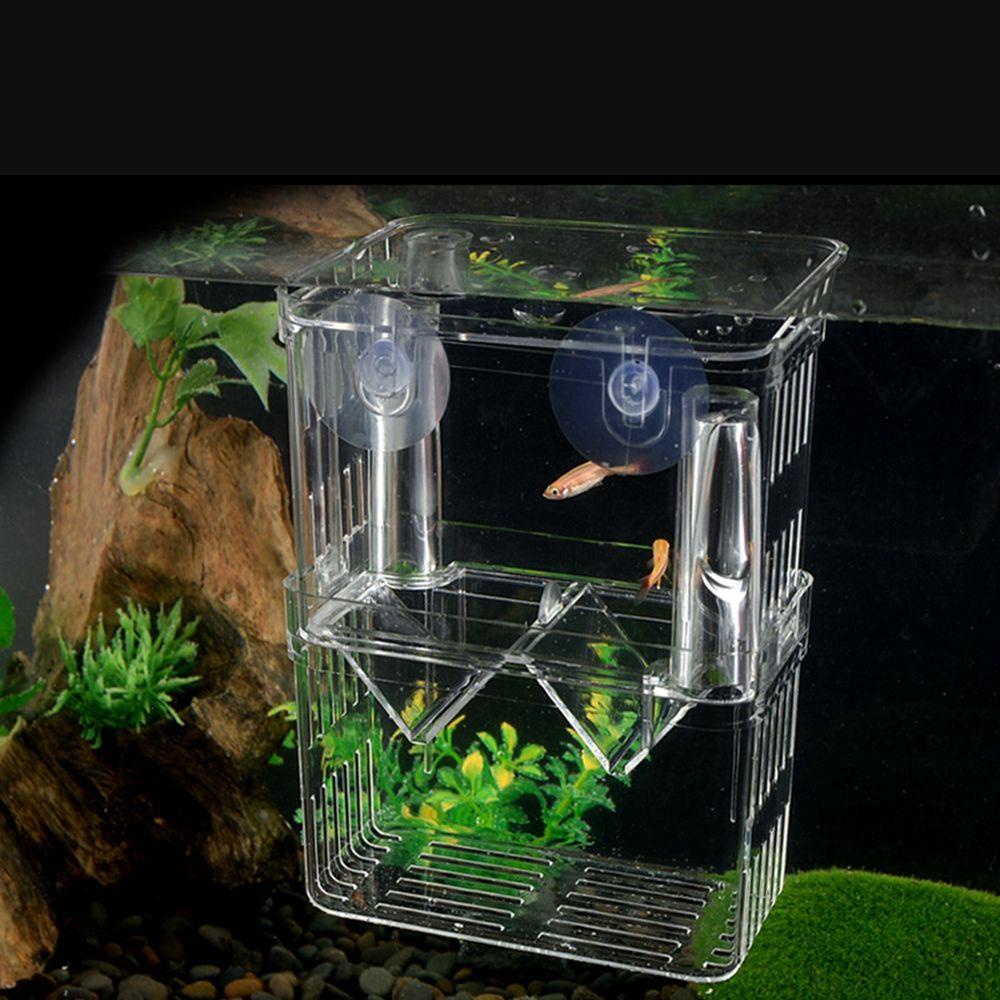 CLEOES Bể Cá Bằng Acrylic Trong Suốt Kèm Cốc Hút Tiện Dụng