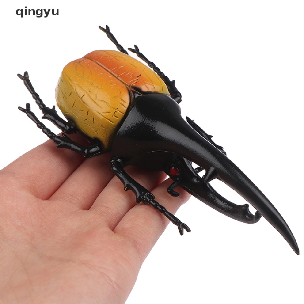 Mô Hình Côn Trùng Sống Động Như Thật Dùng Dạy Học