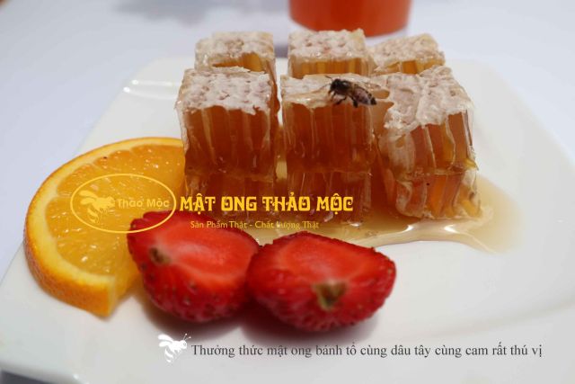 Mật ong bánh tổ nguyên chất 100% | BigBuy360 - bigbuy360.vn