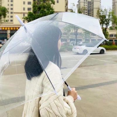 Ô dù trong suốt phong cách hàn quốc chụp ảnh check in