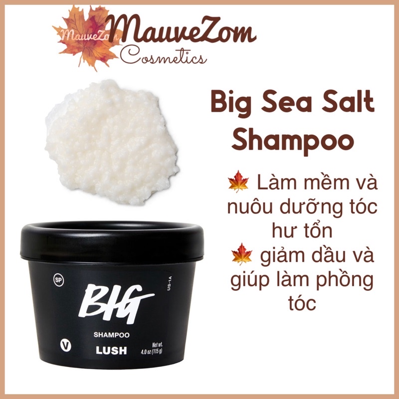 Dầu gội muối biển LUSH - Sea Salt Shampoo BIG