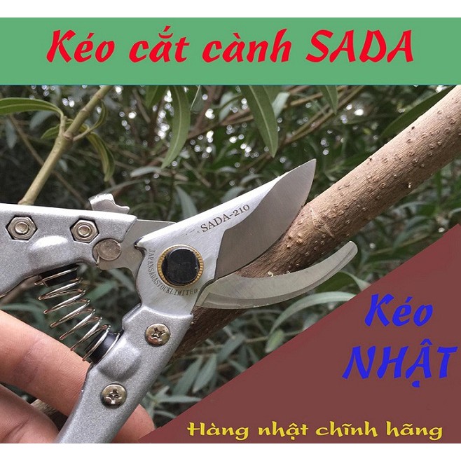 Kéo Cắt Cành Cây, Siêu Bền Sắc Bén SADA-210mm/ Kéo Cắt Cành Cây