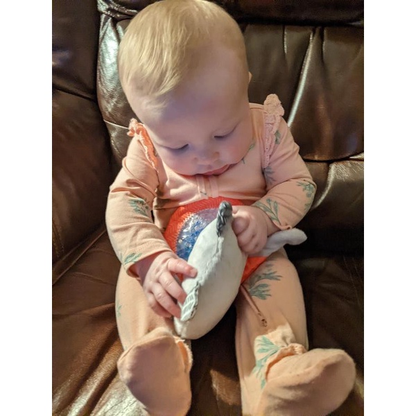 Đồ Chơi Cáo Cú Cầm Tay Bụng Nở - Seek &amp; Squish Sensory Pal