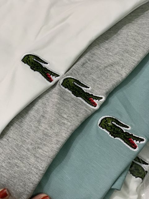 Áo phông nam cá sấu sịn