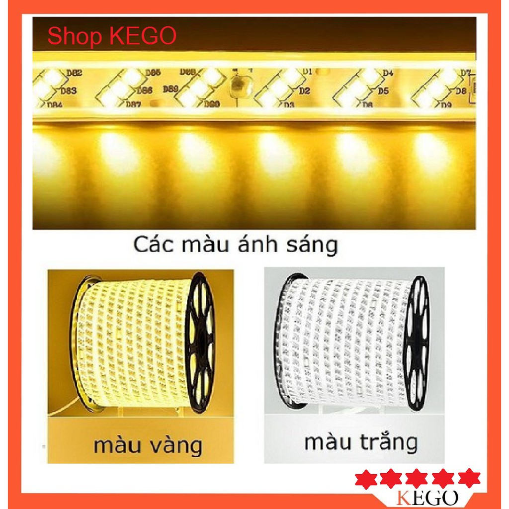 Dây LED trang trí, hắt trần, quấn cây.....vv 2 hàng,3 hàng led ( Chưa kèm cục nguồn )