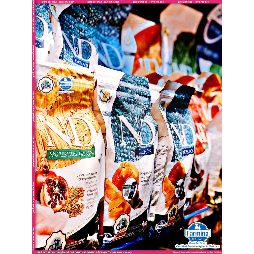 1.5kg Hạt Mèo N&D Grain Free cao cấp đủ dòng Prime Ocean Pumpkin Quinoa cho Mèo Con Mèo Trưởng thành Farmina Kitten Cat