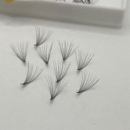 mi fan 12d-HỘP 500 FAN- CONG C-D, DÀY (0.05) DỤNG CỤ NỐI MI