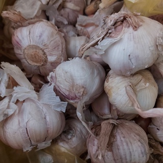 Giao HCM Hỏa tốc Nguyên liệu làm đồ ăn vặt Củ Tỏi khô 1kg