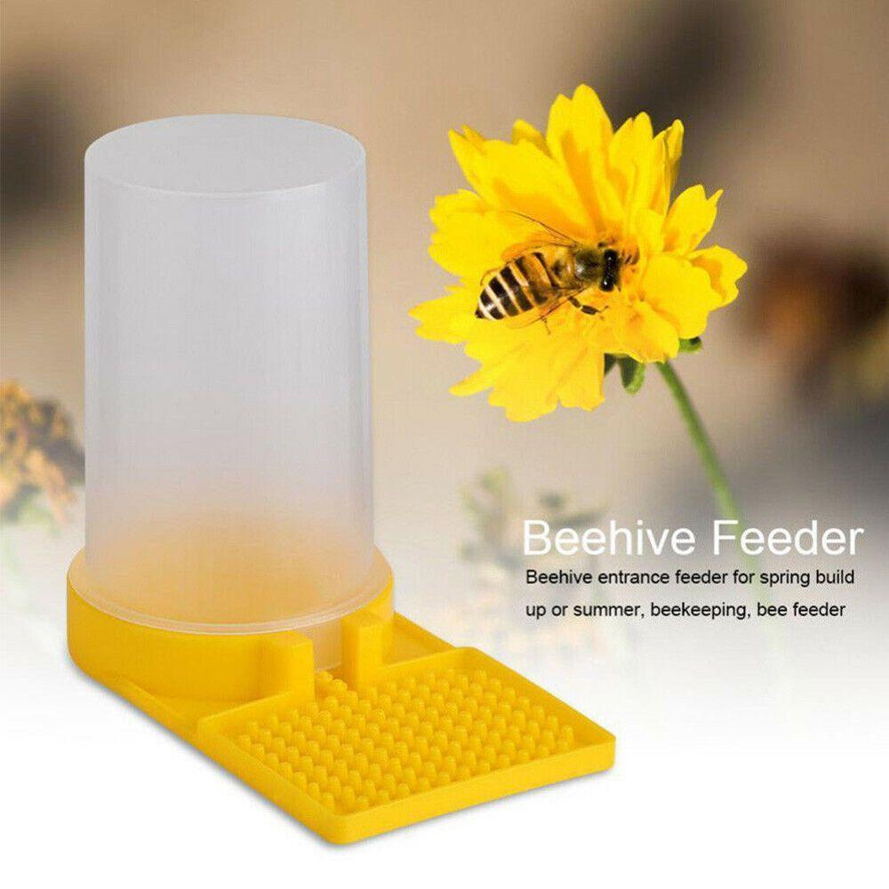 Dụng Cụ Cho Ong Uống Nước