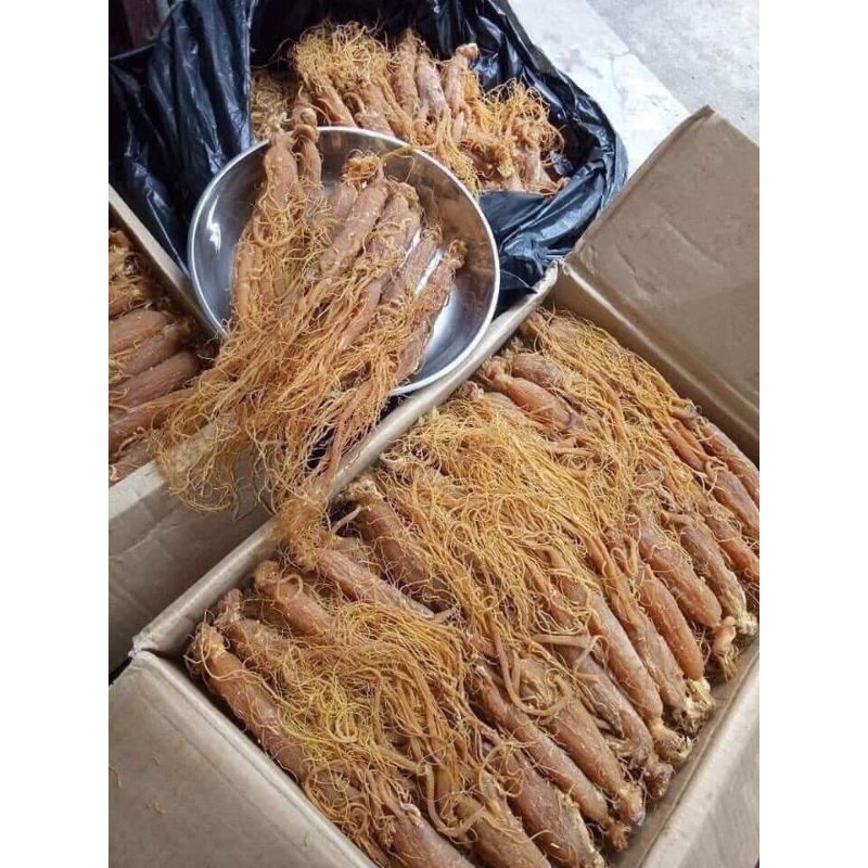 50g - 100g nhân sâm khô
