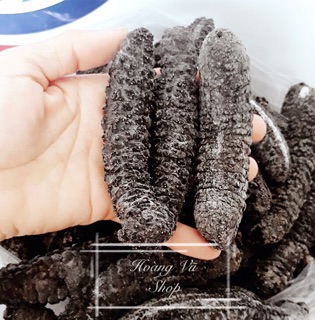 1 cặp hải sâm - nhân sâm biển