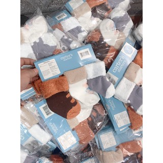 Set tất Carter xù dày