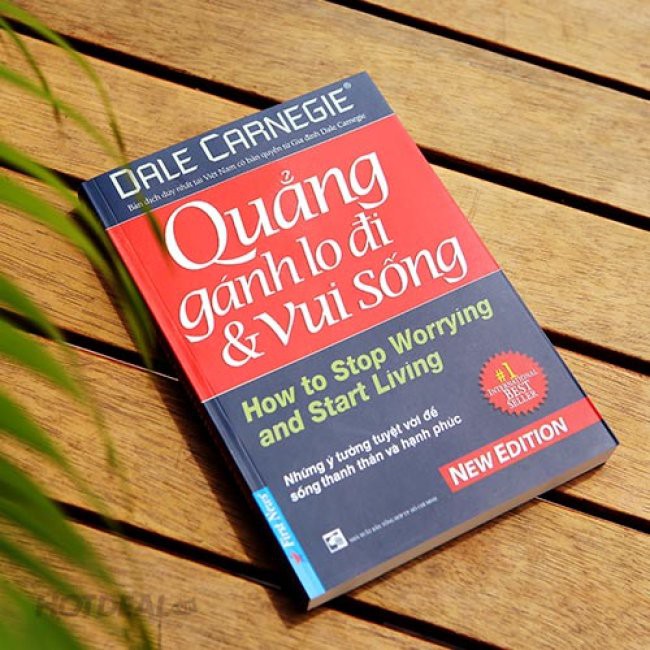 Sách Combo Đắc nhân tâm và Quẳng gánh lo đi và vui sống - Dale Carnegie Tặng Bookmark Danh Ngôn