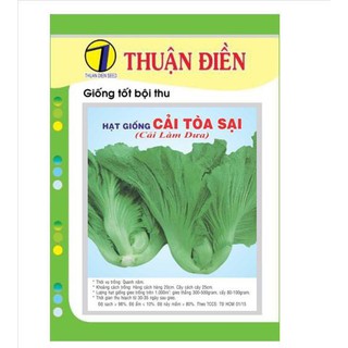 HẠT GIỐNG CẢI TÒA SẬY ( CẢI LÀM DƯA )