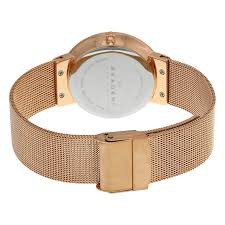 Đồng Hồ Nữ Skagen Authentic SKW2068