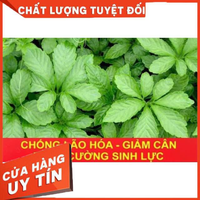 Giảo Cổ Lam Loại 7 Lá Chuẩn Xịn 500g