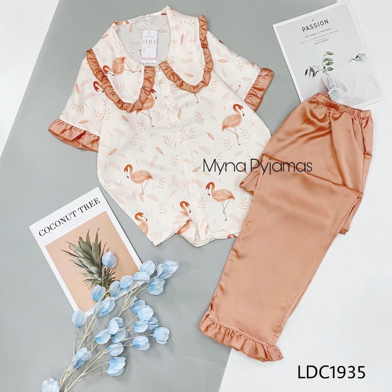 Combo 5 bộ pijama | BigBuy360 - bigbuy360.vn