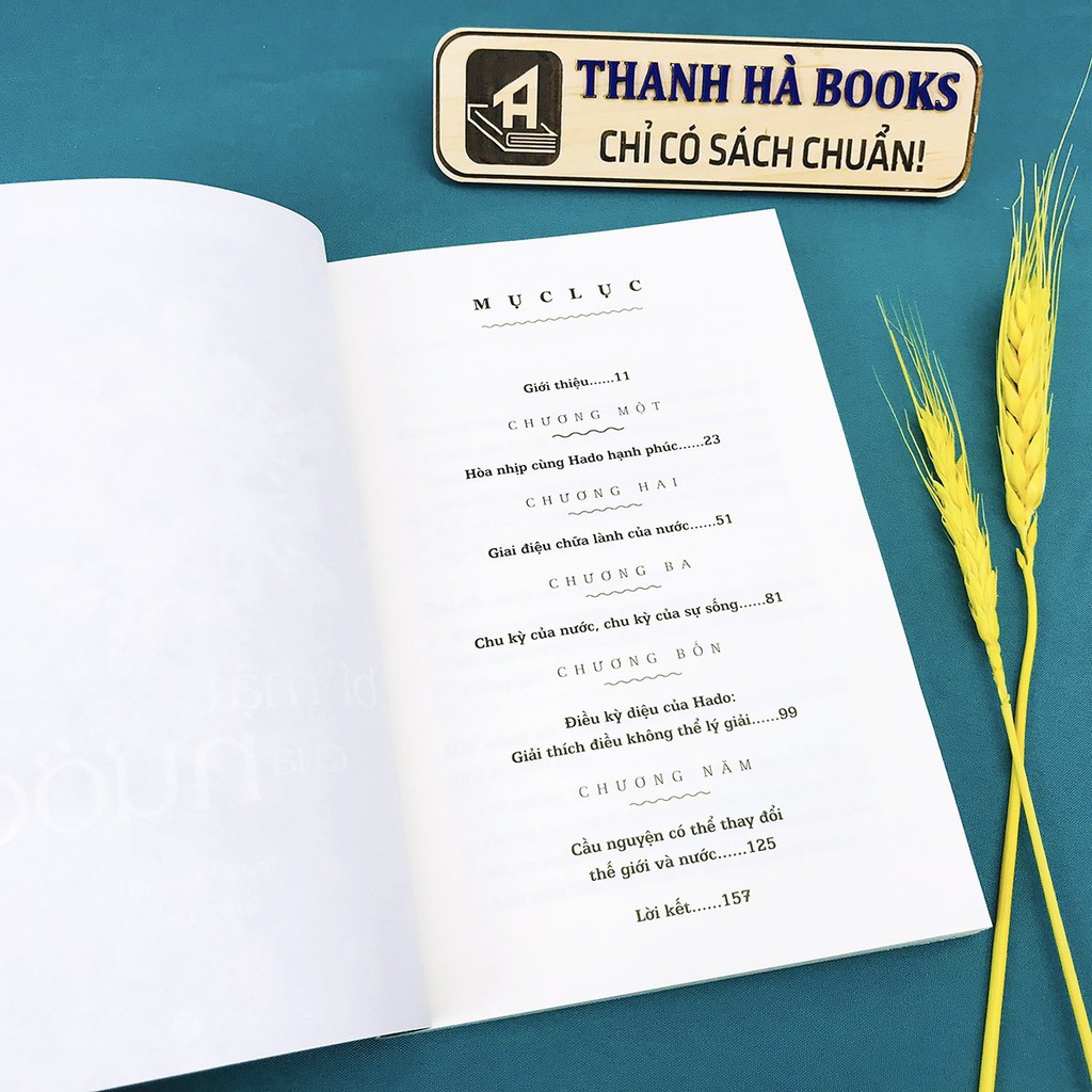 Sách - Bí Mật Của Nước (Tái Bản) - Thanh Hà Books