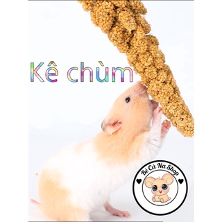 Kê chùm gò công ,thức ăn dành cho hamster , chim ,vẹt... bé cà na