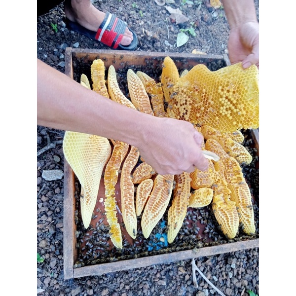 1kg mật ong nguyên tổ loại 1