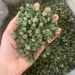 Nụ tam thất bao tử nụ bé Vip 100g