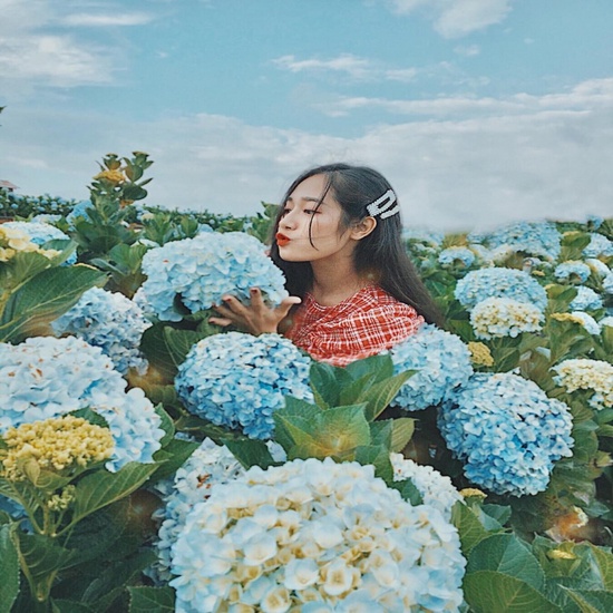 [EVoucher Vietravel] Đà Lạt: Đón Bình Minh - Săn Mây