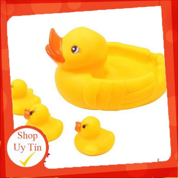 VỊT CON THẢ BỒN TẮM CÓ CÒI