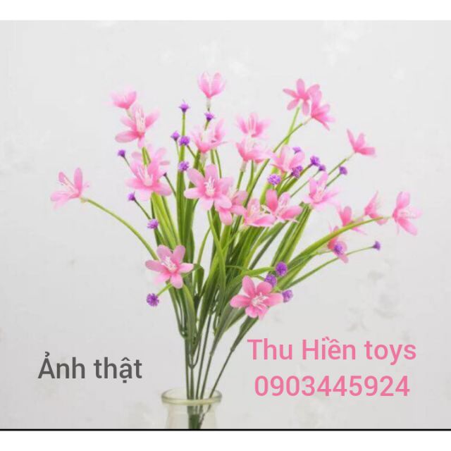 Hoa Giả - Hoa Thủy Tiên