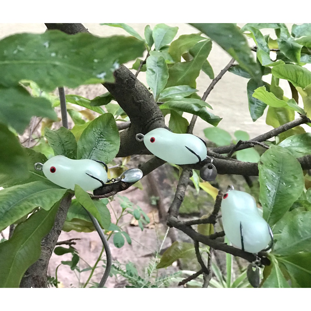 Nhái Hơi, Mồi Nhái Phản Quang, Mồi Câu Lure Cao Cấp